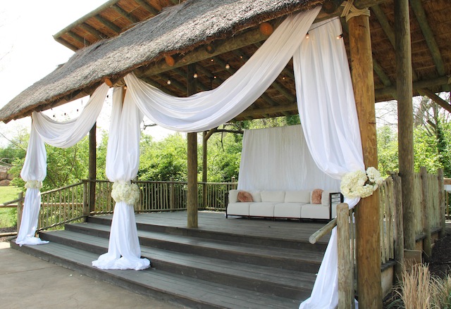 nashville zoo, luxury wedding nashville, outdoor, african themed, safari, wedding 101