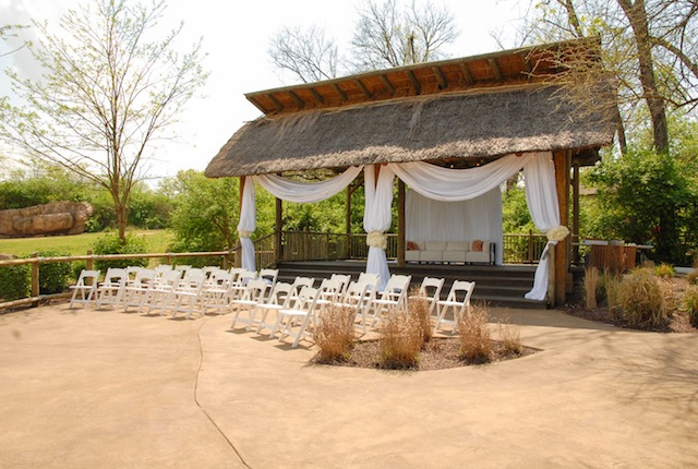 nashville zoo, luxury wedding nashville, outdoor, african themed, safari, wedding 101