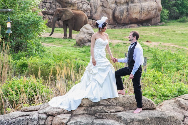 nashville zoo, luxury wedding nashville, outdoor, african themed, safari, wedding 101
