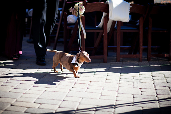 ritz-carlton-lake-tahoe-winter-wedding