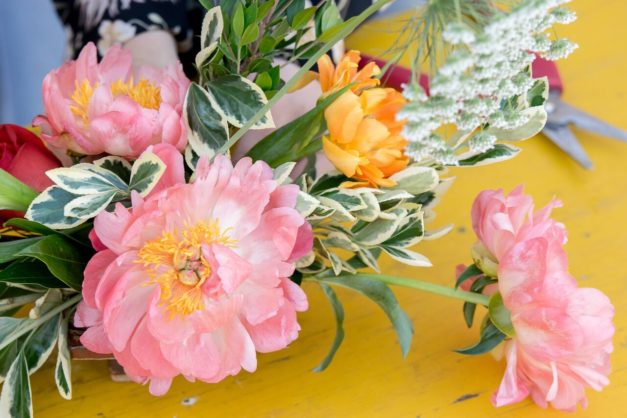 Rootstock Floral Feature
