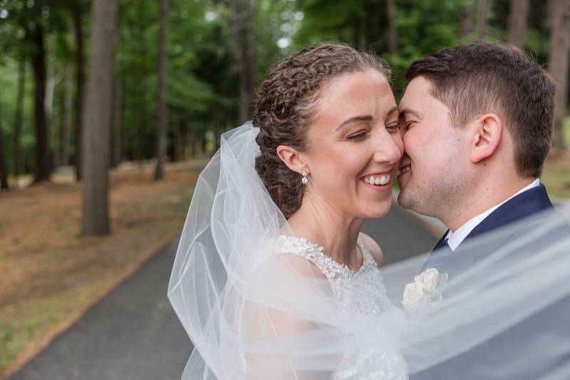 cathedral veil