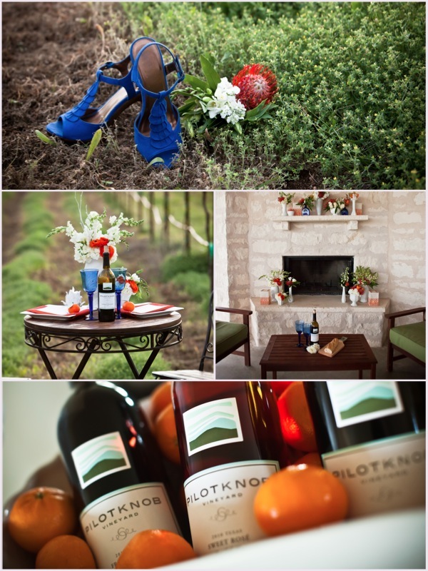 vineyard 5