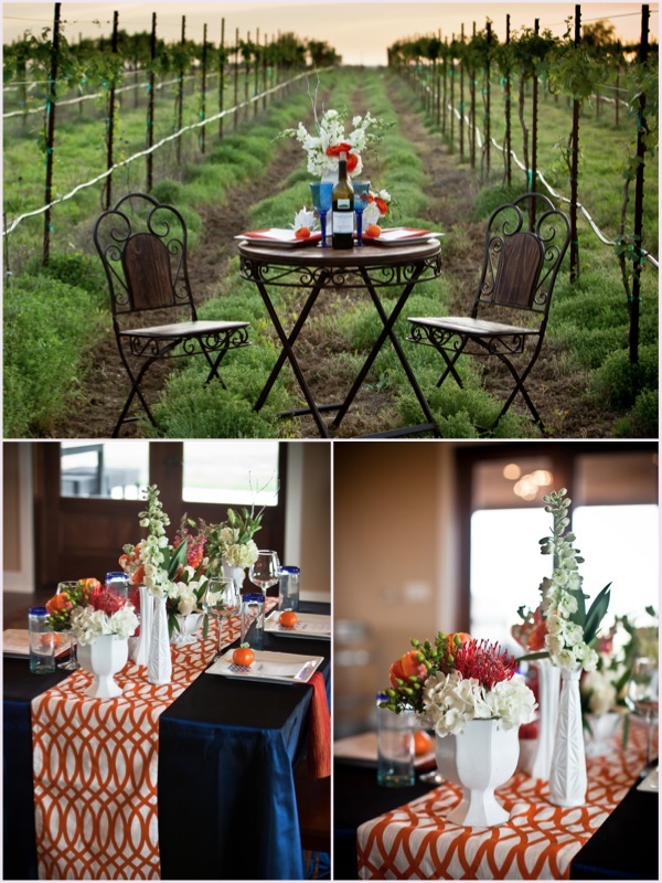 vineyard3