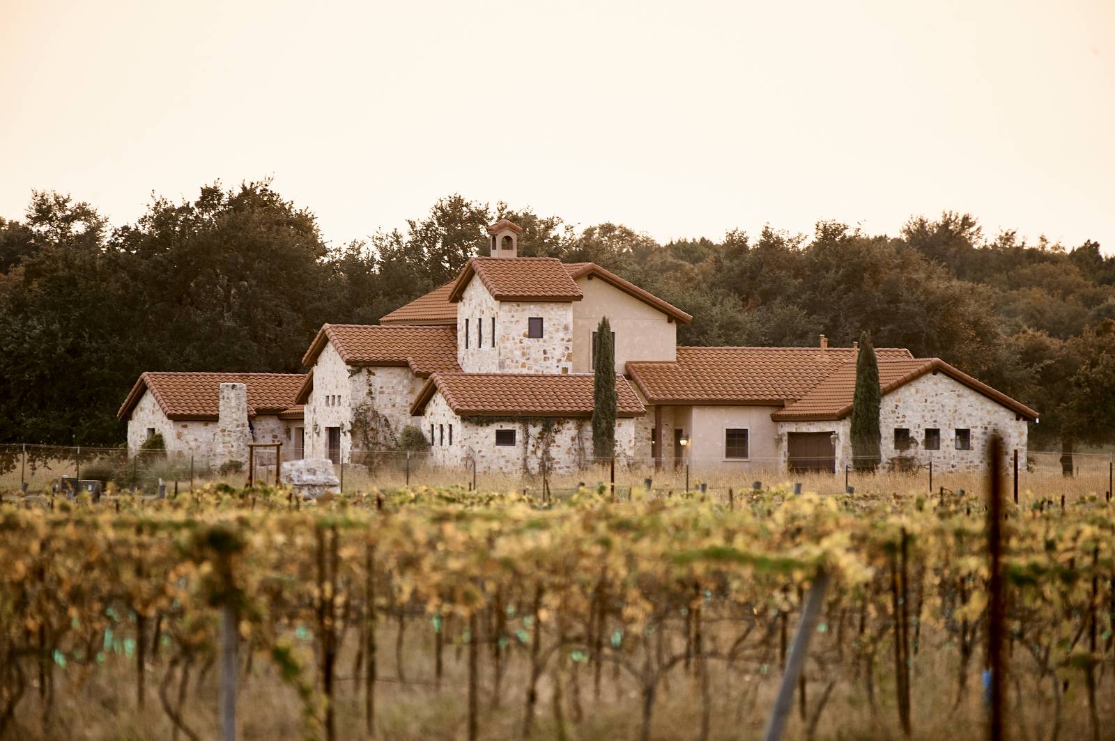 The Vineyard At Florence