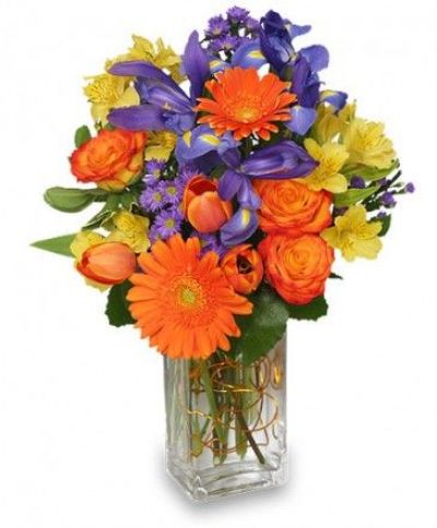 Happiness Grows Bouquet - Congratulations Flowers by In Full Bloom Winnipeg