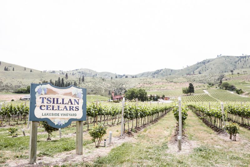 Morris_Nybo_Jacquelynn_Brynn_Photography_TsillanChelanWedding001_low