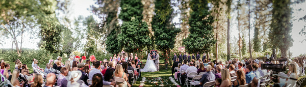 Alicia & Jed Favorites-51