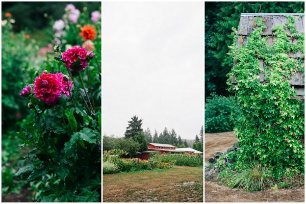 Farm Kitchen Wedding2