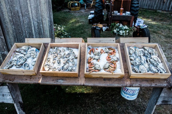 Waldron Island Vintage Wedding on Apple Brides
