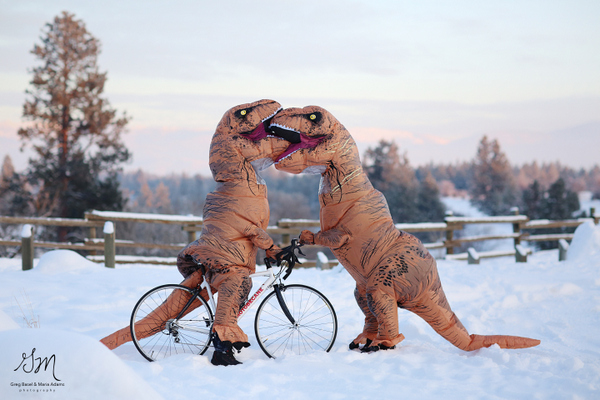 T-Rex Engagement by Greg Basil & Maria Adams Photography on Apple Brides