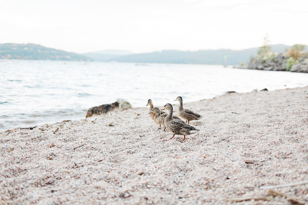 Sweet & Simple Lakeside Engagement Session