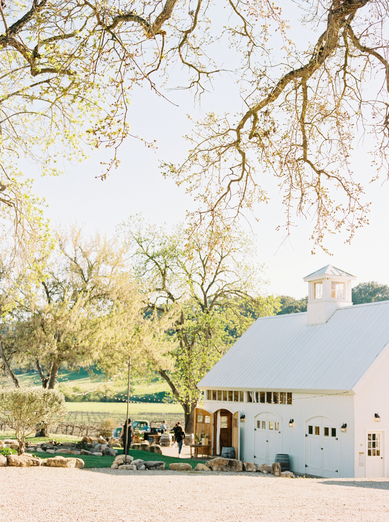 barn, vineyard, white