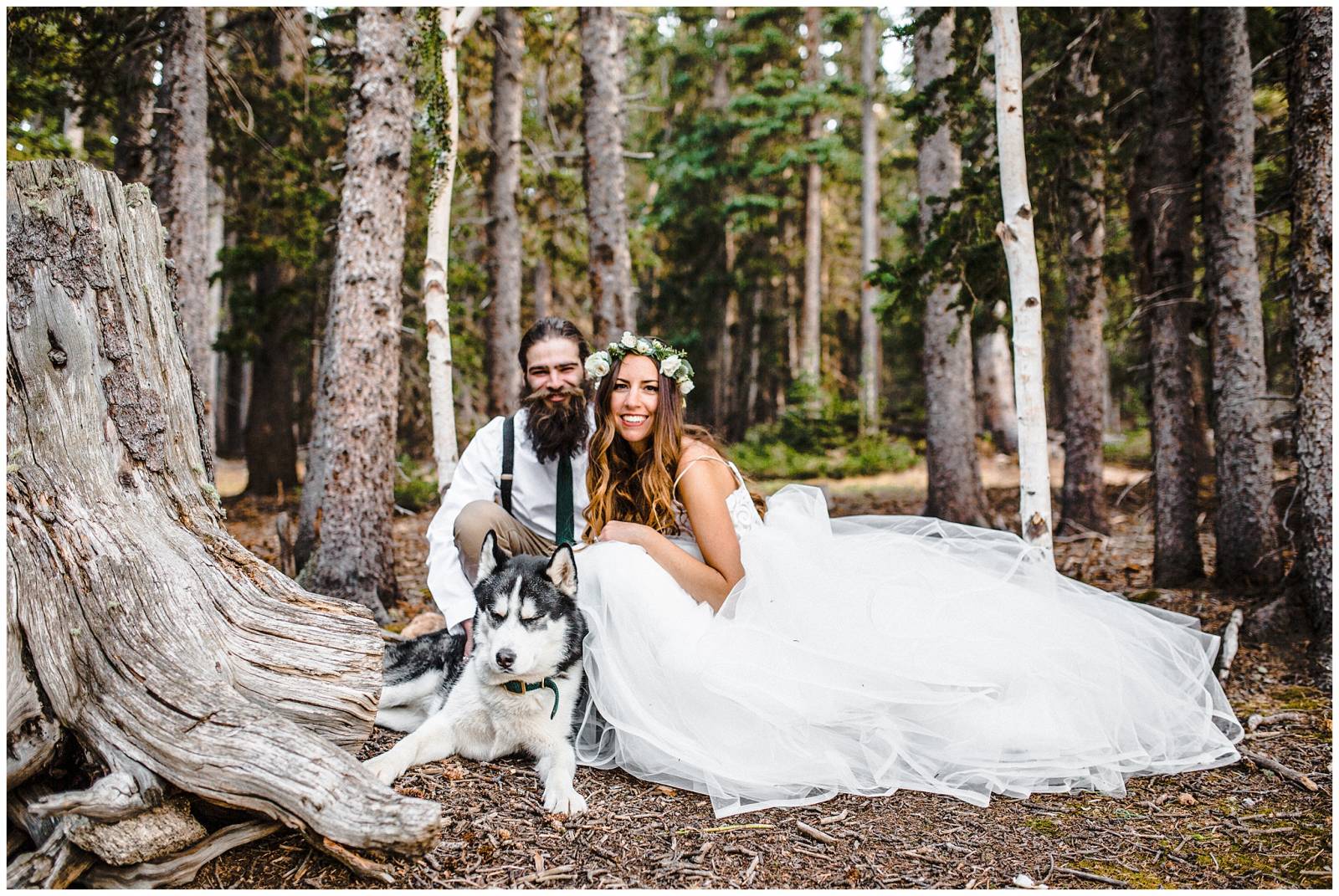 brie and groom with their dog at elopement in Colorado mountains