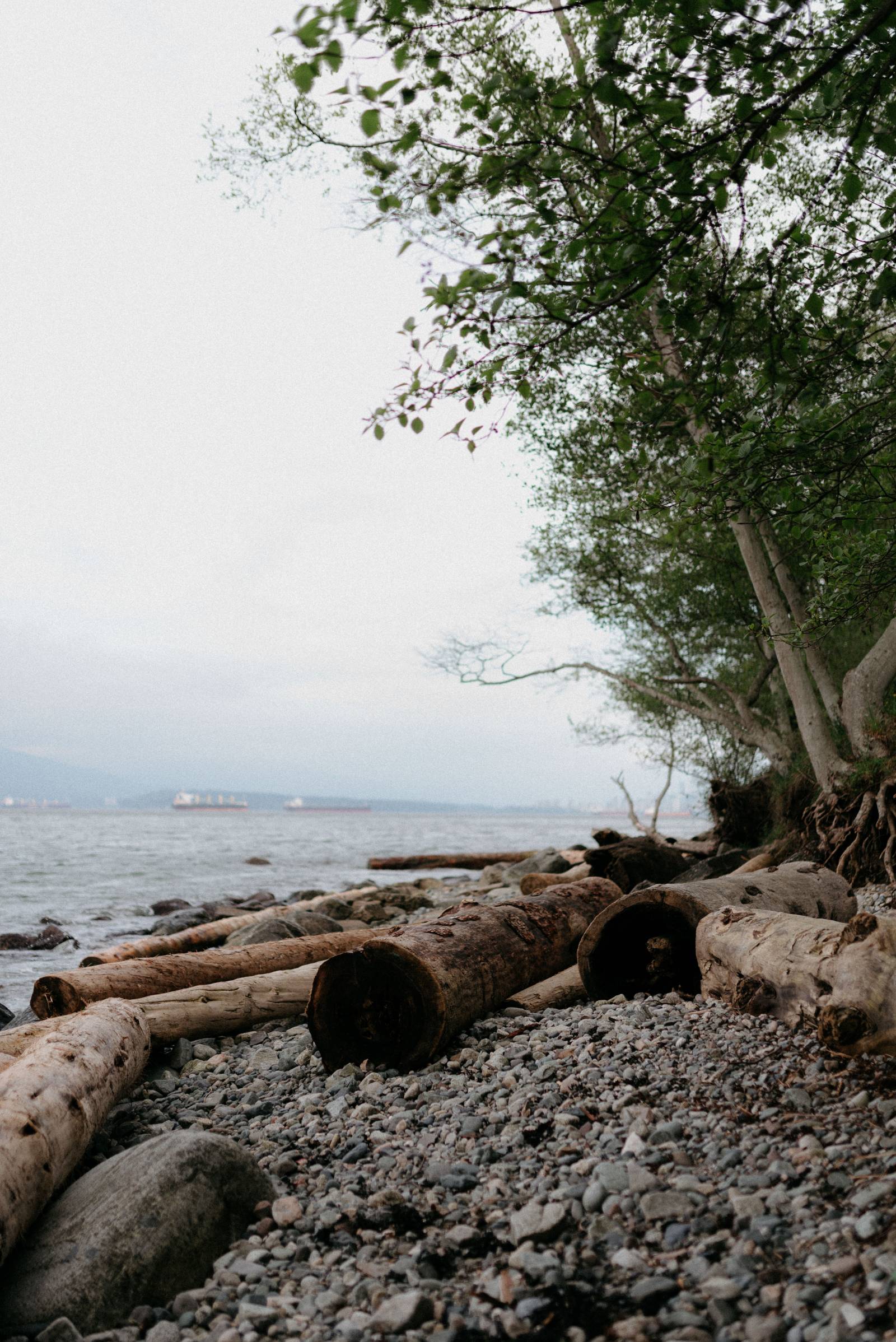 Acadia Beach engagement photo session captured by wedding photographer Hennygraphy