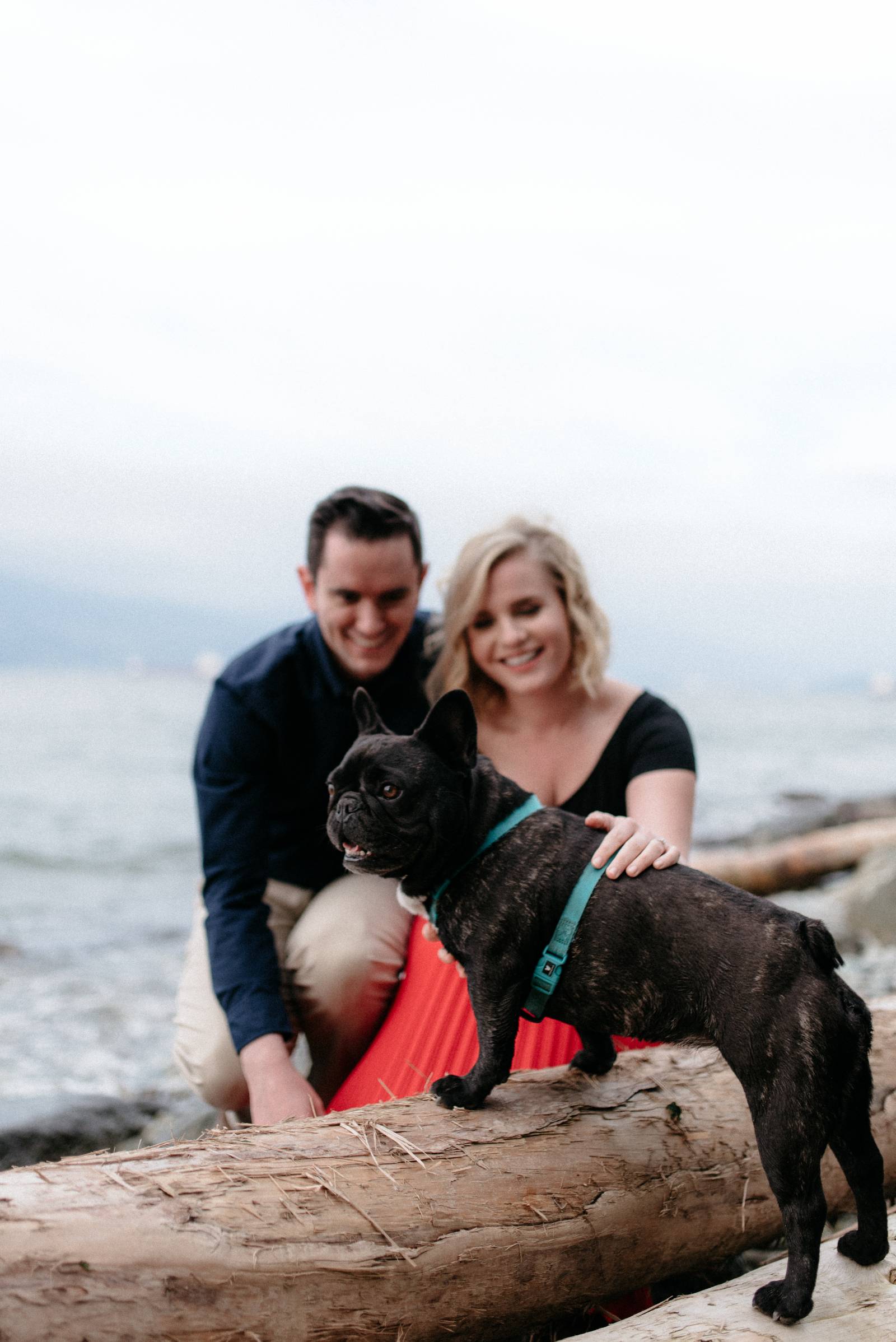 Acadia Beach engagement photo session captured by wedding photographer Hennygraphy | puppy