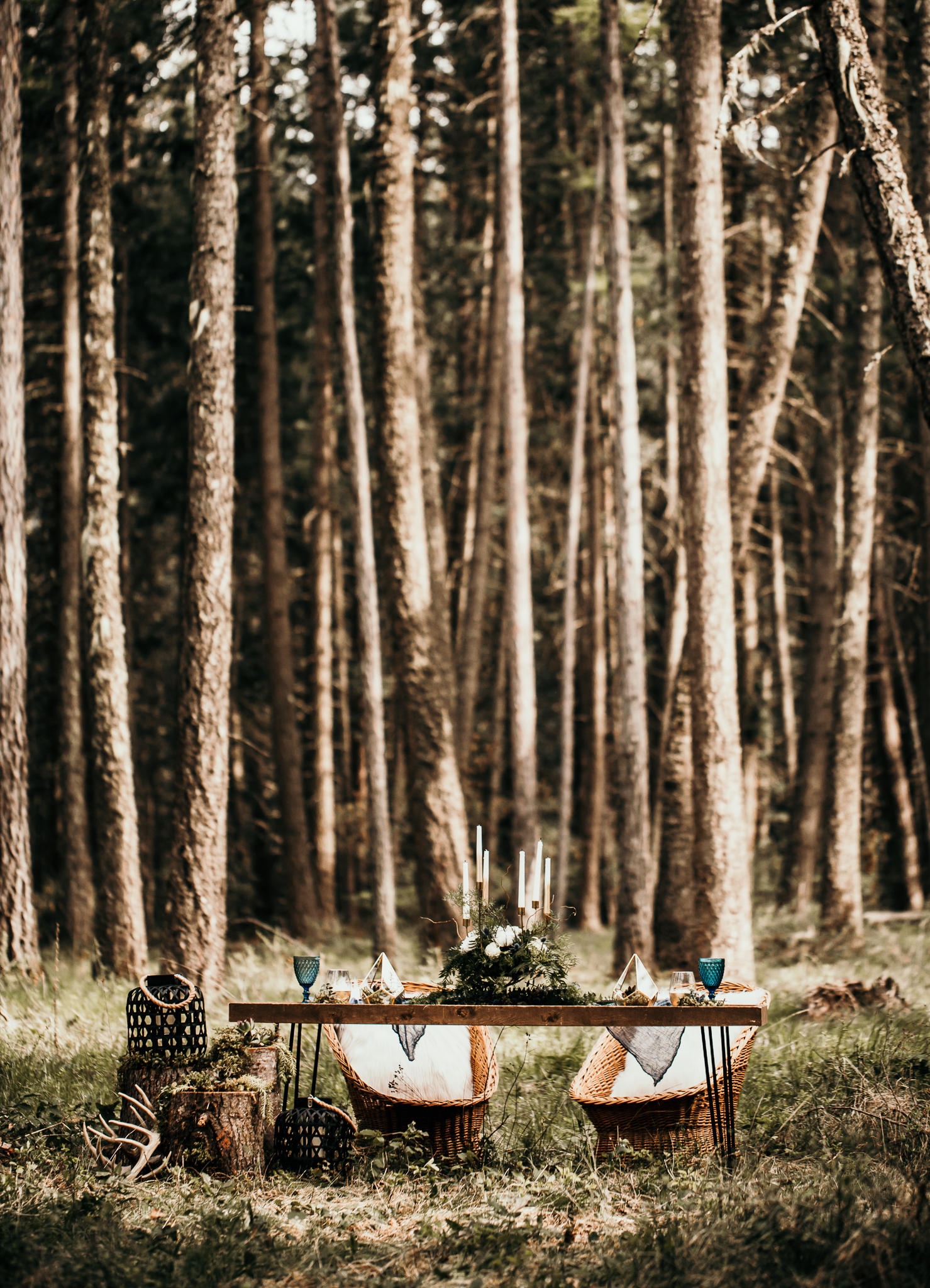 woodsy Idaho outdoor elopement inspiration | wedding reception decor