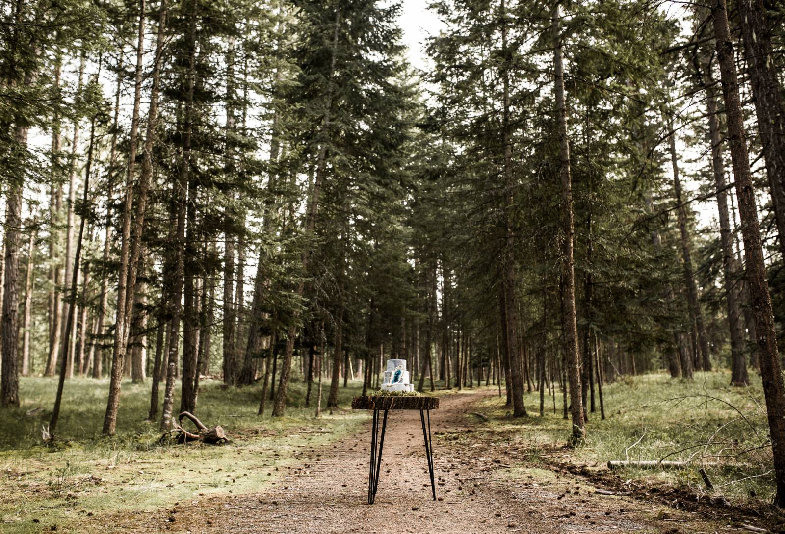 woodsy Idaho outdoor elopement inspiration