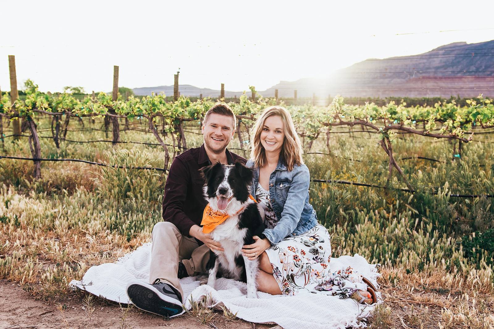 engagement photo session with dog captured by Grand Junction Wedding Photographer, Carved Tree Photo