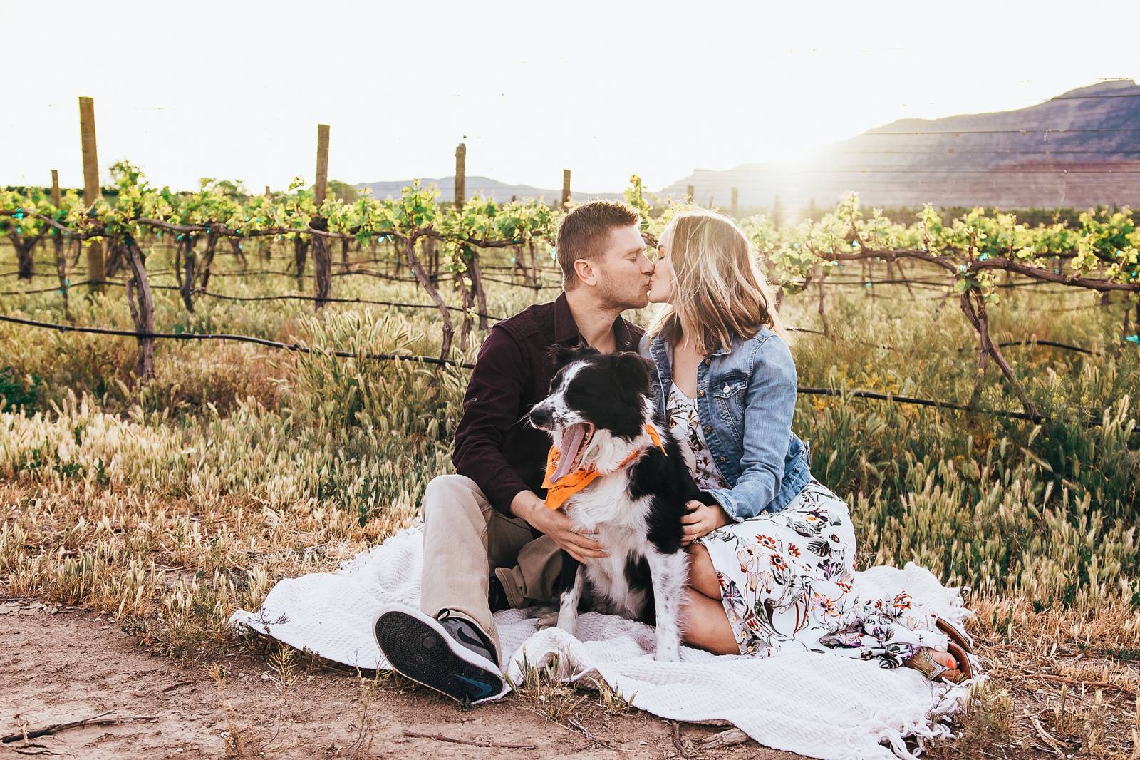 engagement photo session with dog captured by Grand Junction Wedding Photographer, Carved Tree Photo
