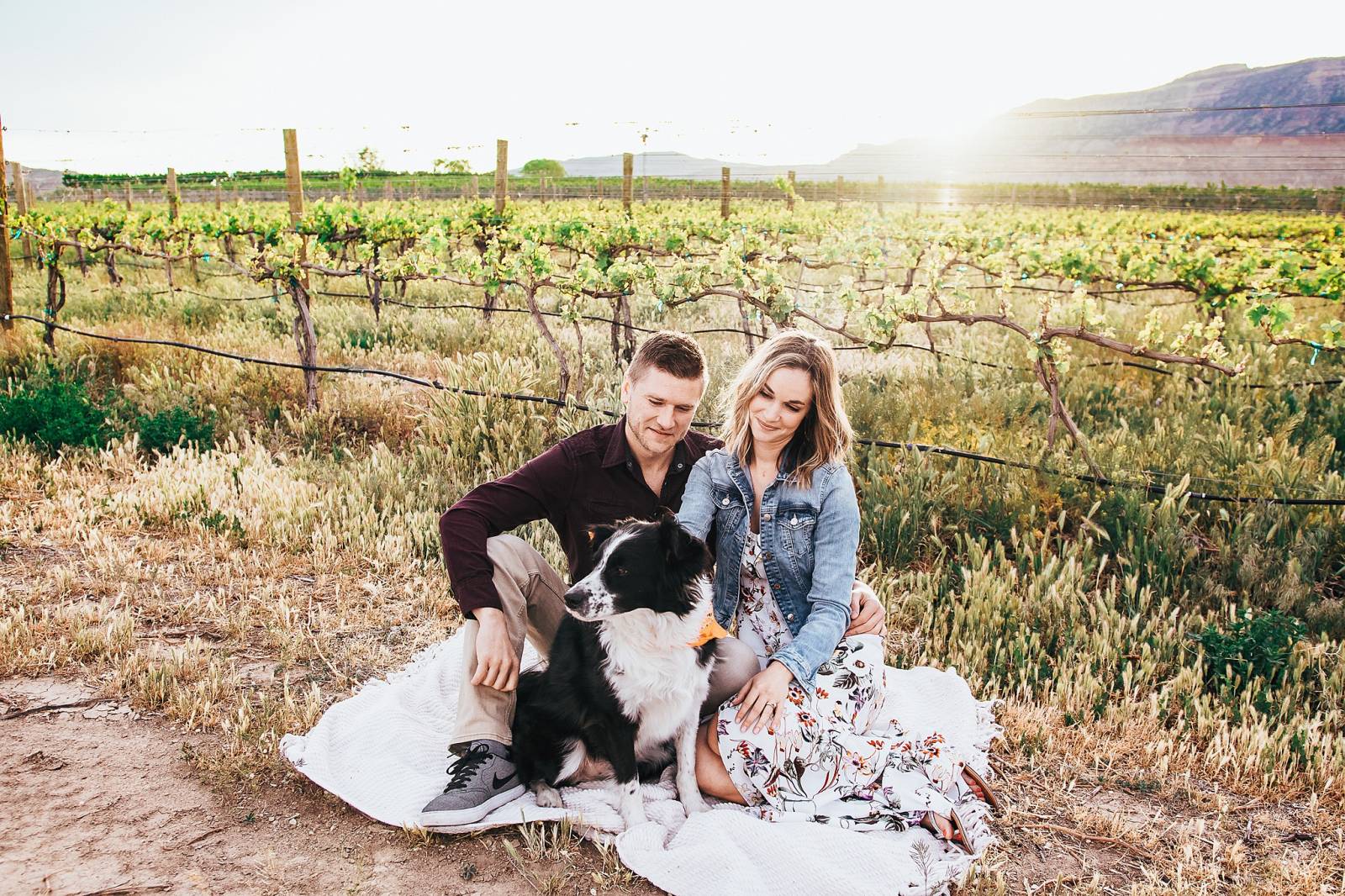 engagement photo session with dog captured by Grand Junction Wedding Photographer, Carved Tree Photo