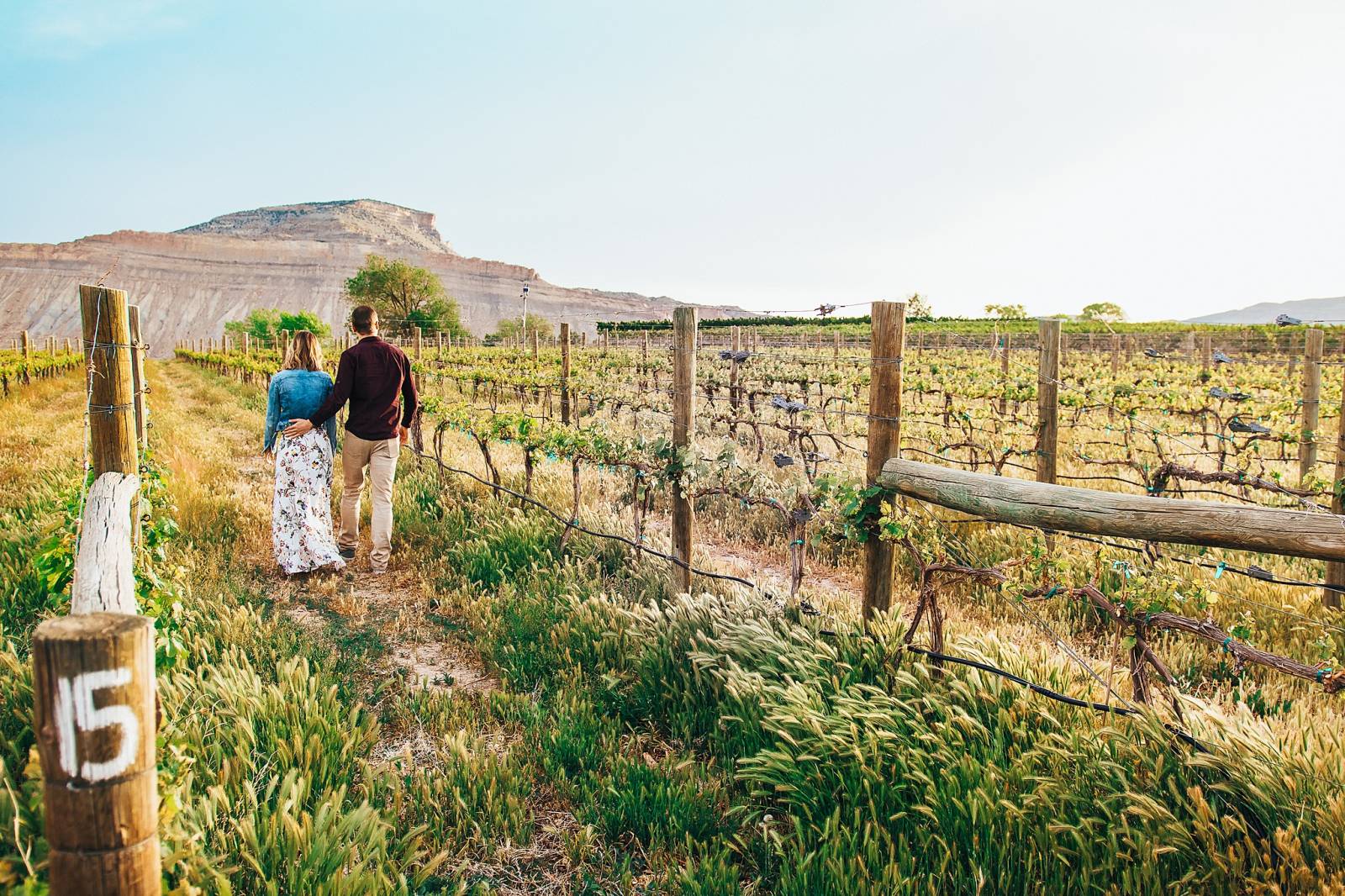 engagement photo session with dog captured by Grand Junction Wedding Photographer, Carved Tree Photo
