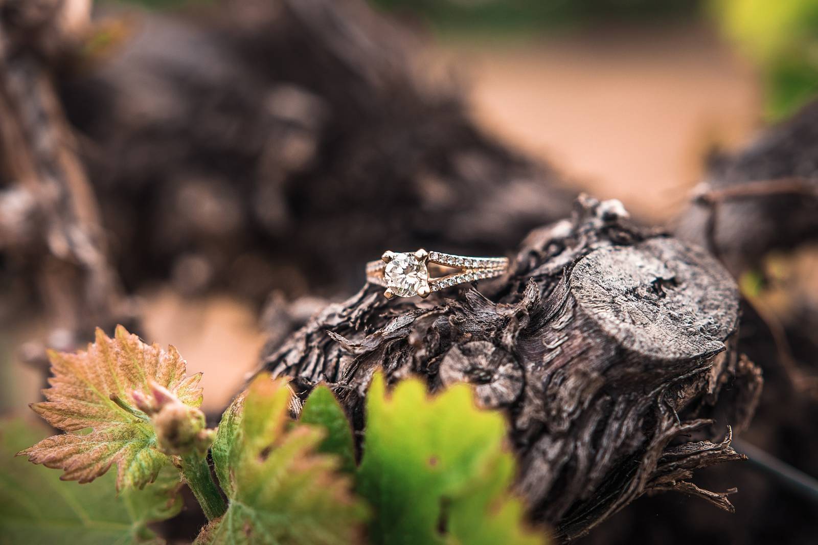 Colorado engagement photo session captured by Grand Junction Wedding Photographer, Carved Tree Photo