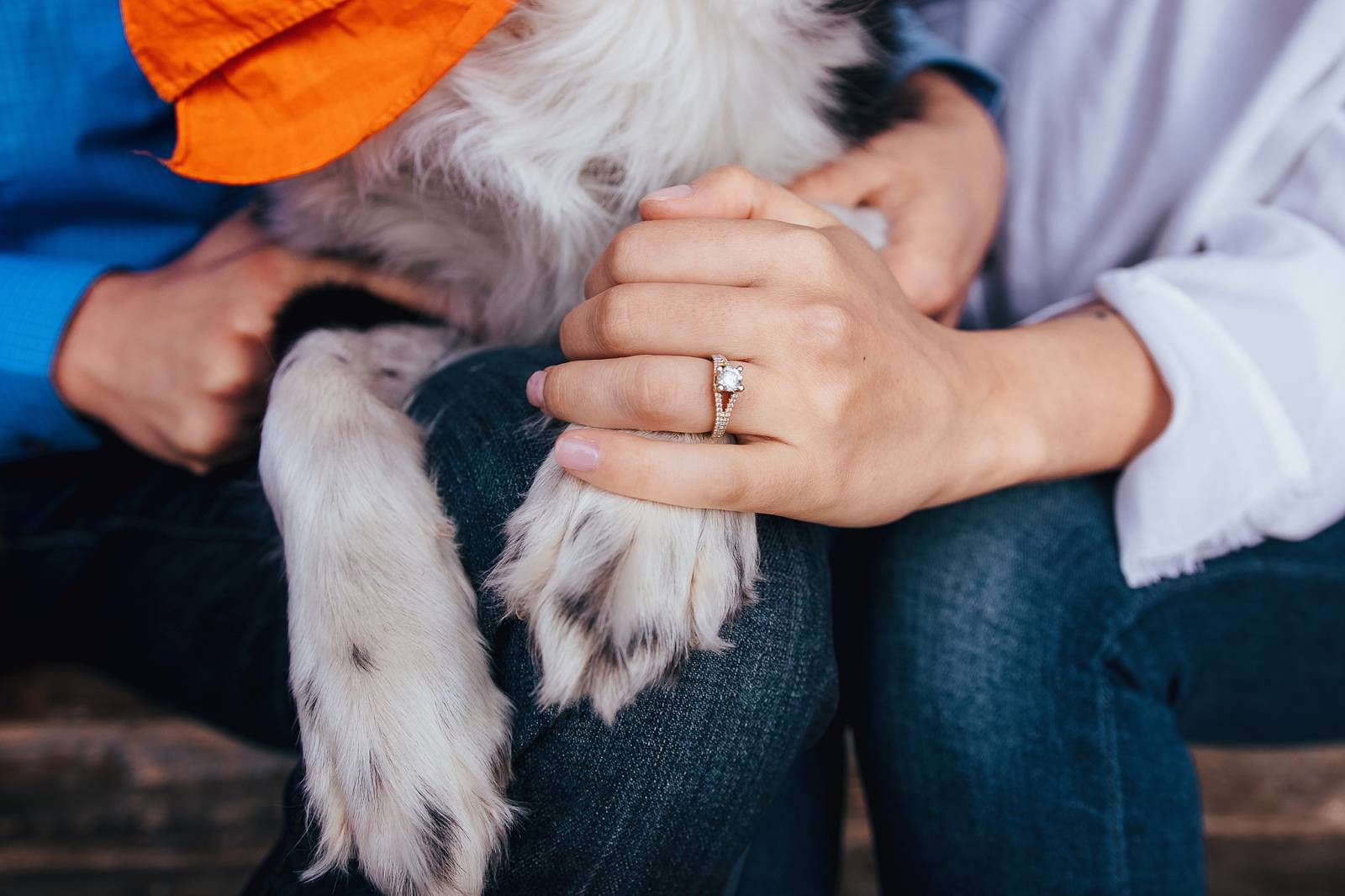 Colorado engagement photo session with dog captured by Grand Junction Wedding Photographer, Carved T