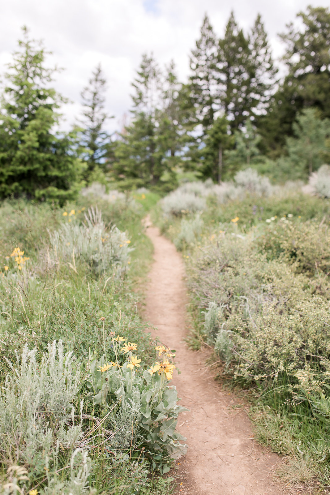Bridger-Teton National Forest Wedding | Wyoming Rocky Mountain wedding inspiration
