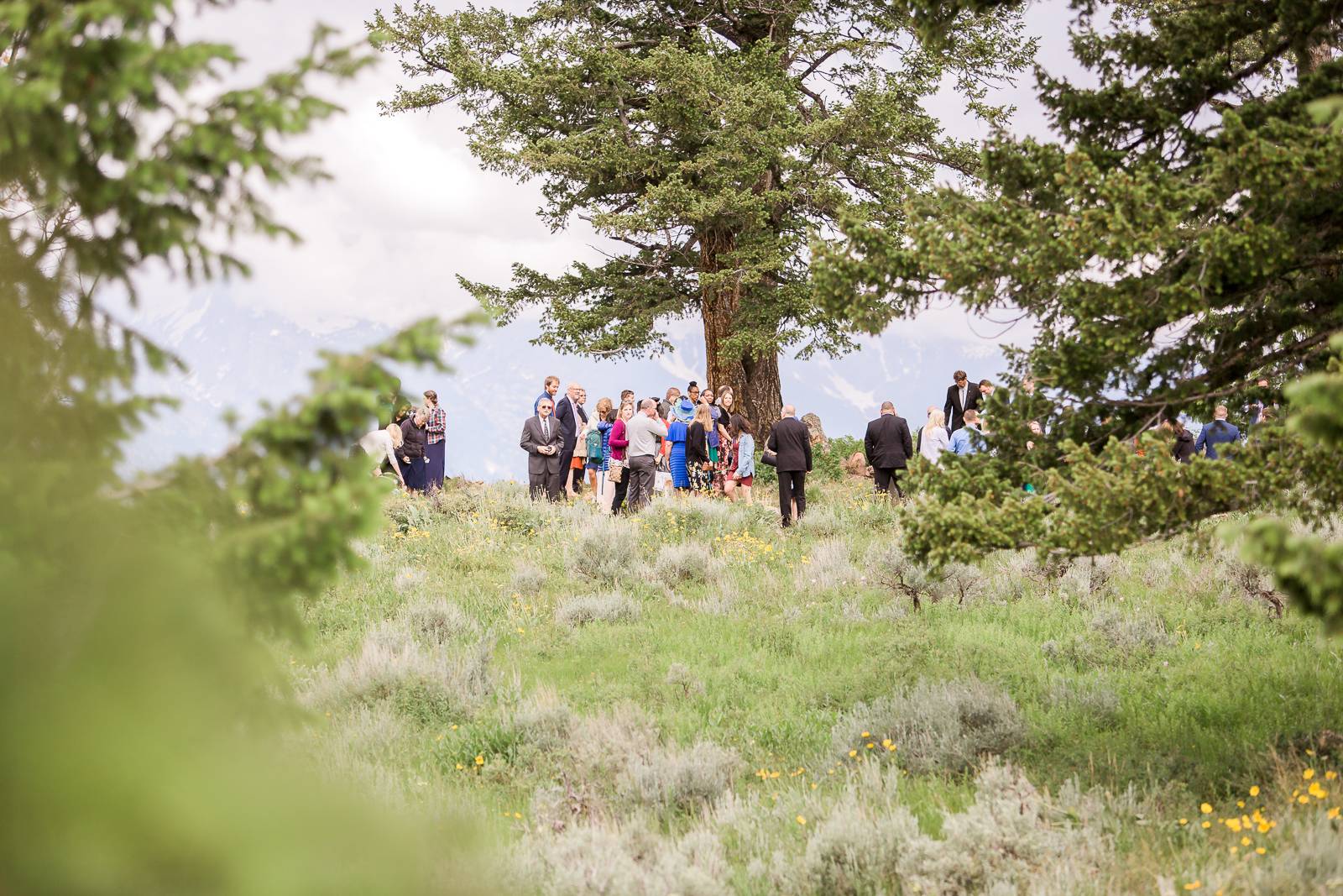 Bridger-Teton National Forest Wedding | Wyoming Rocky Mountain wedding inspiration