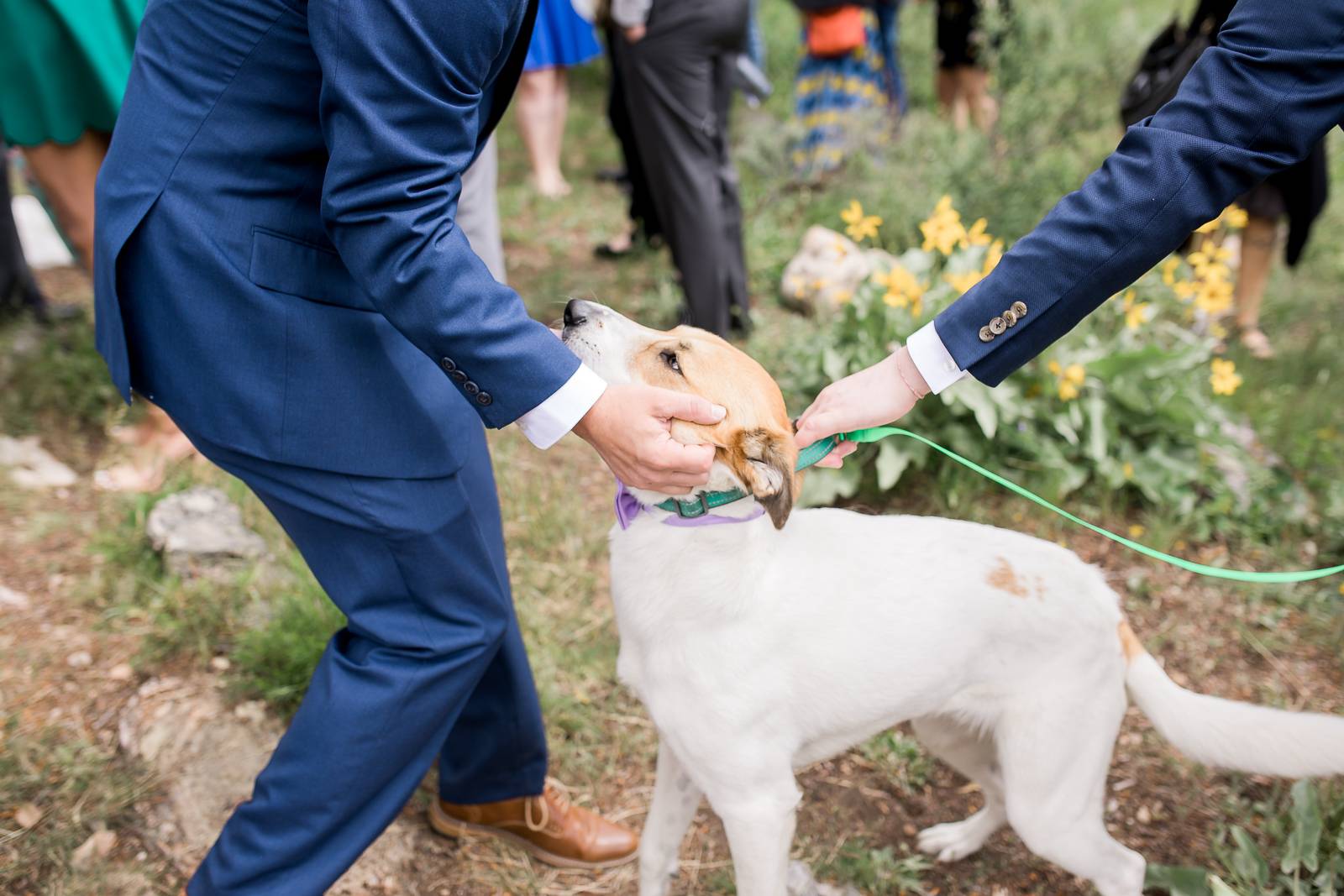 Bridger-Teton National Forest Wedding | Wyoming Rocky Mountain wedding inspiration