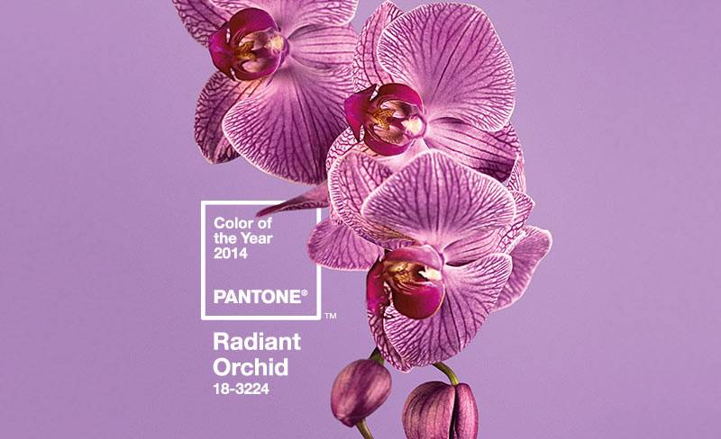 Fashion Friday Radiant Orchid Bridesmaid Dresses With Weddington Year Radiant Orchid We Ve Asked Our Friends At Bridesmaid Boutique Weddington Way To Pick Their Favorite Dresses In This Delicious Hue