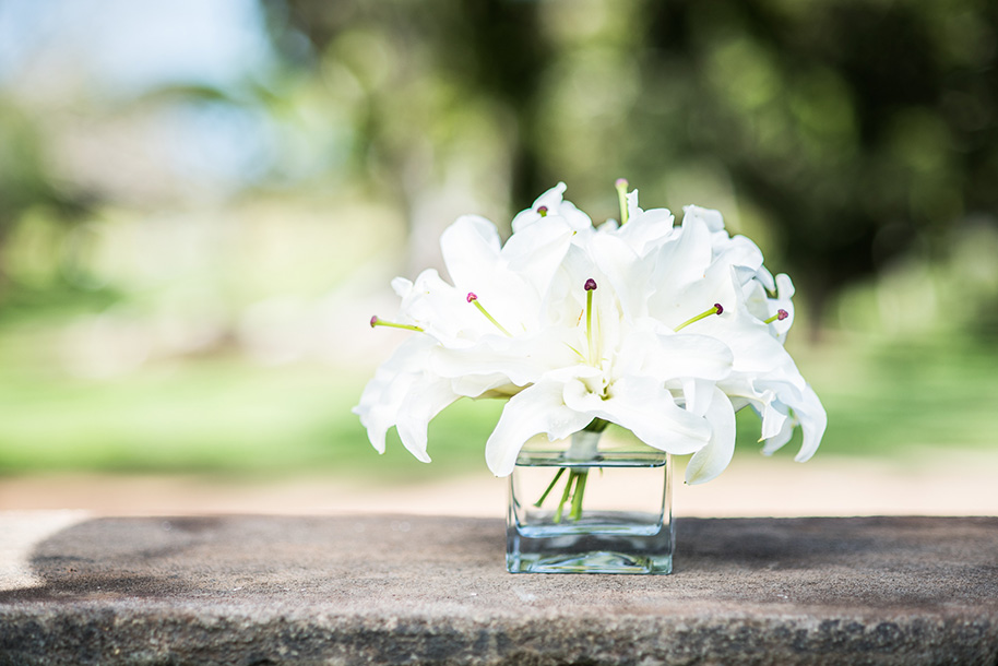 Dillingham-Ranch-Wedding-032316-7