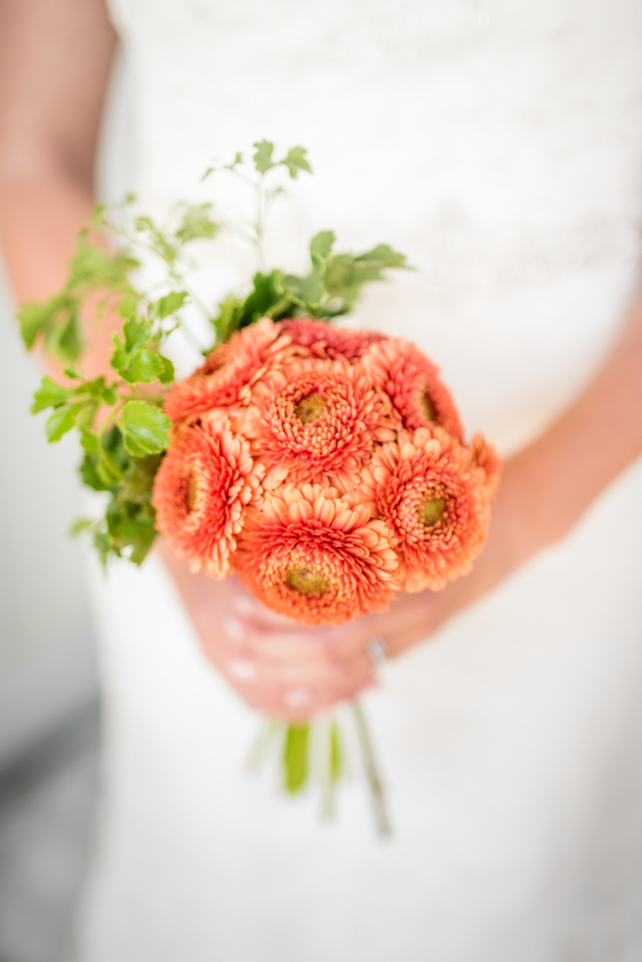 Dillingham-Ranch-Wedding-032316-8