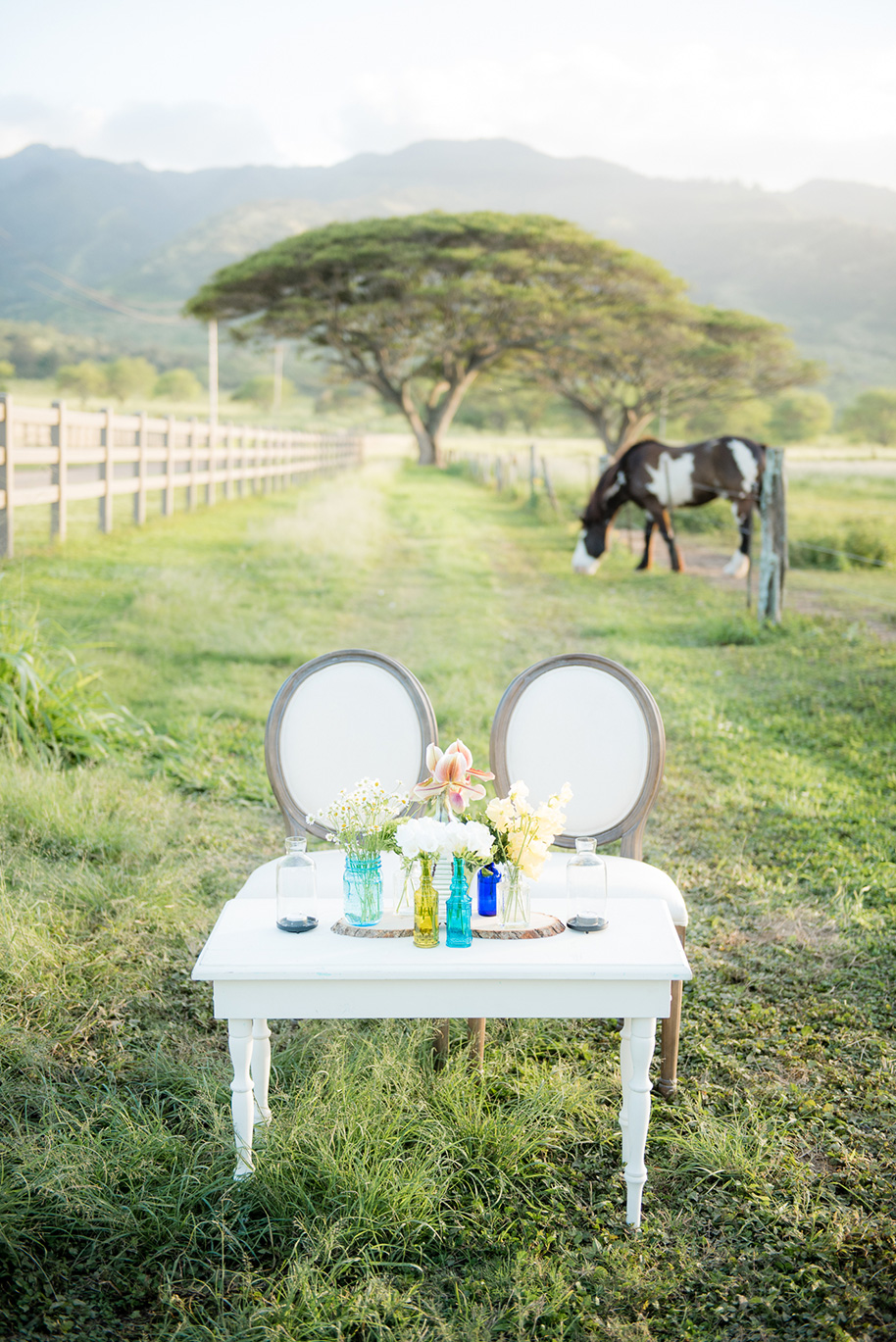 Dillingham-Ranch-Wedding-032316-37