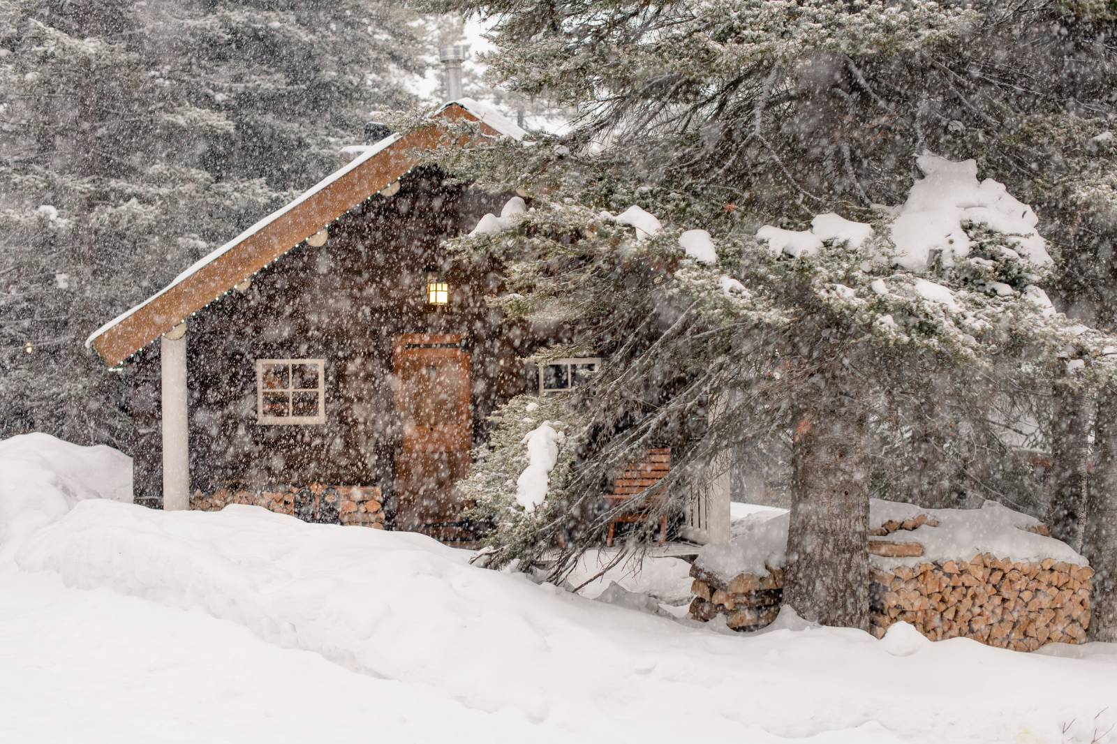 Dog Friendly Staycation In The Mountains Banff Personal