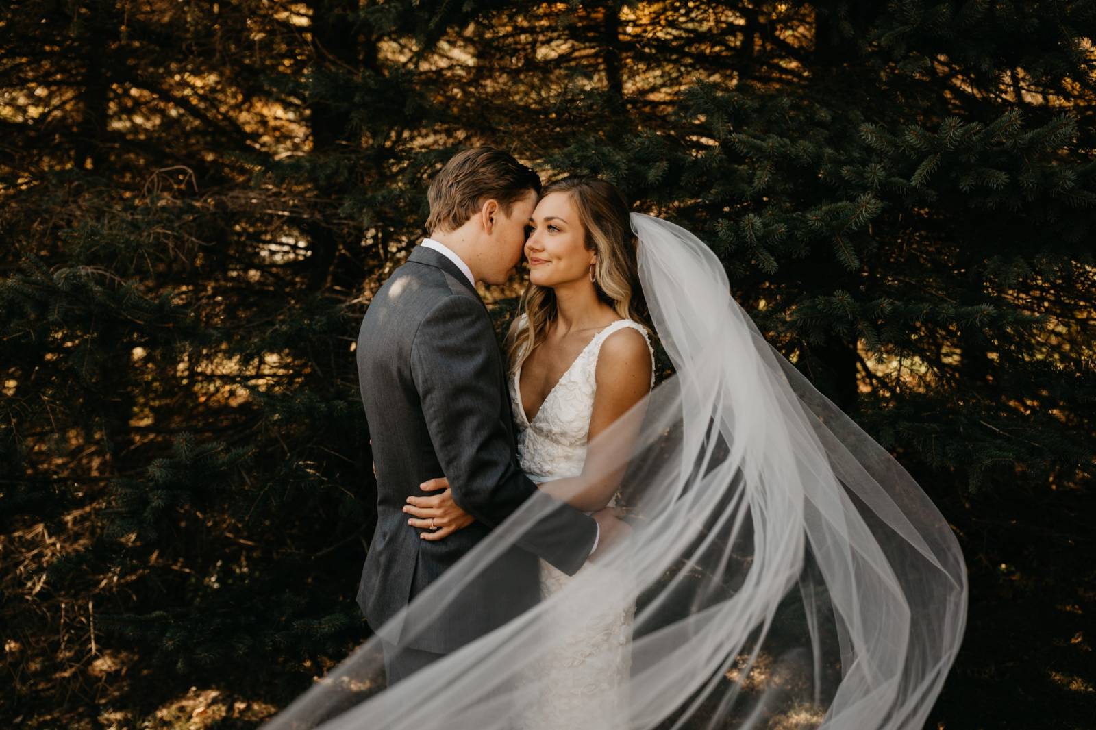 bride, groom, veil