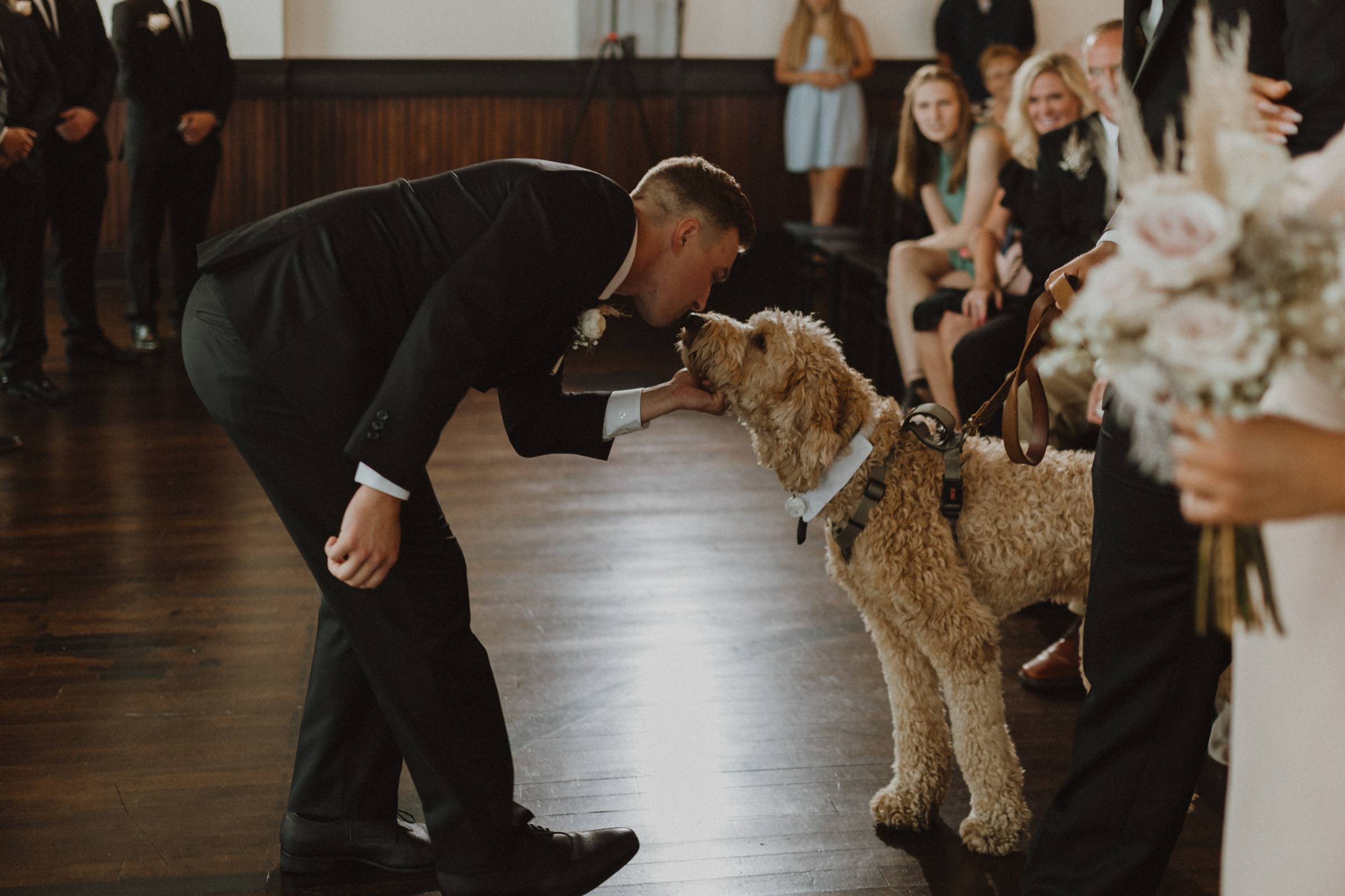dog in wedding ceremony