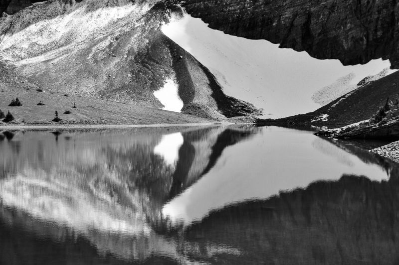 Butterfly reflection