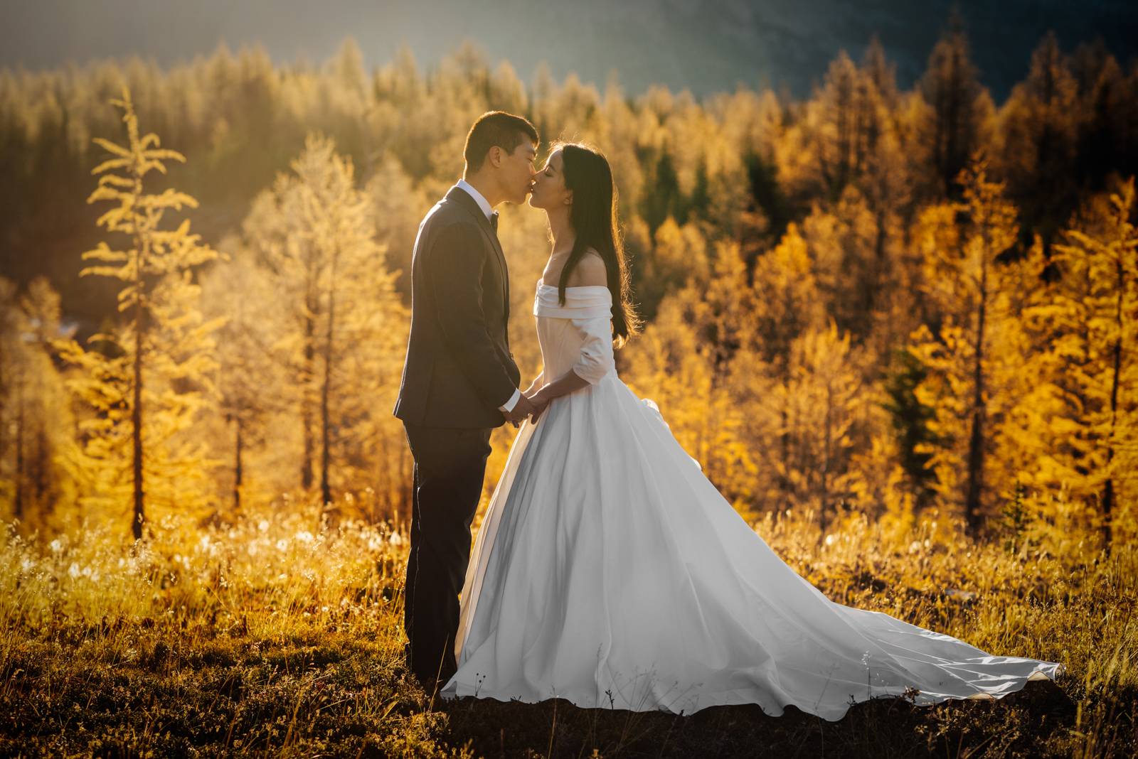 bride and groom kiss in sunrise light surrounded by golden larches
