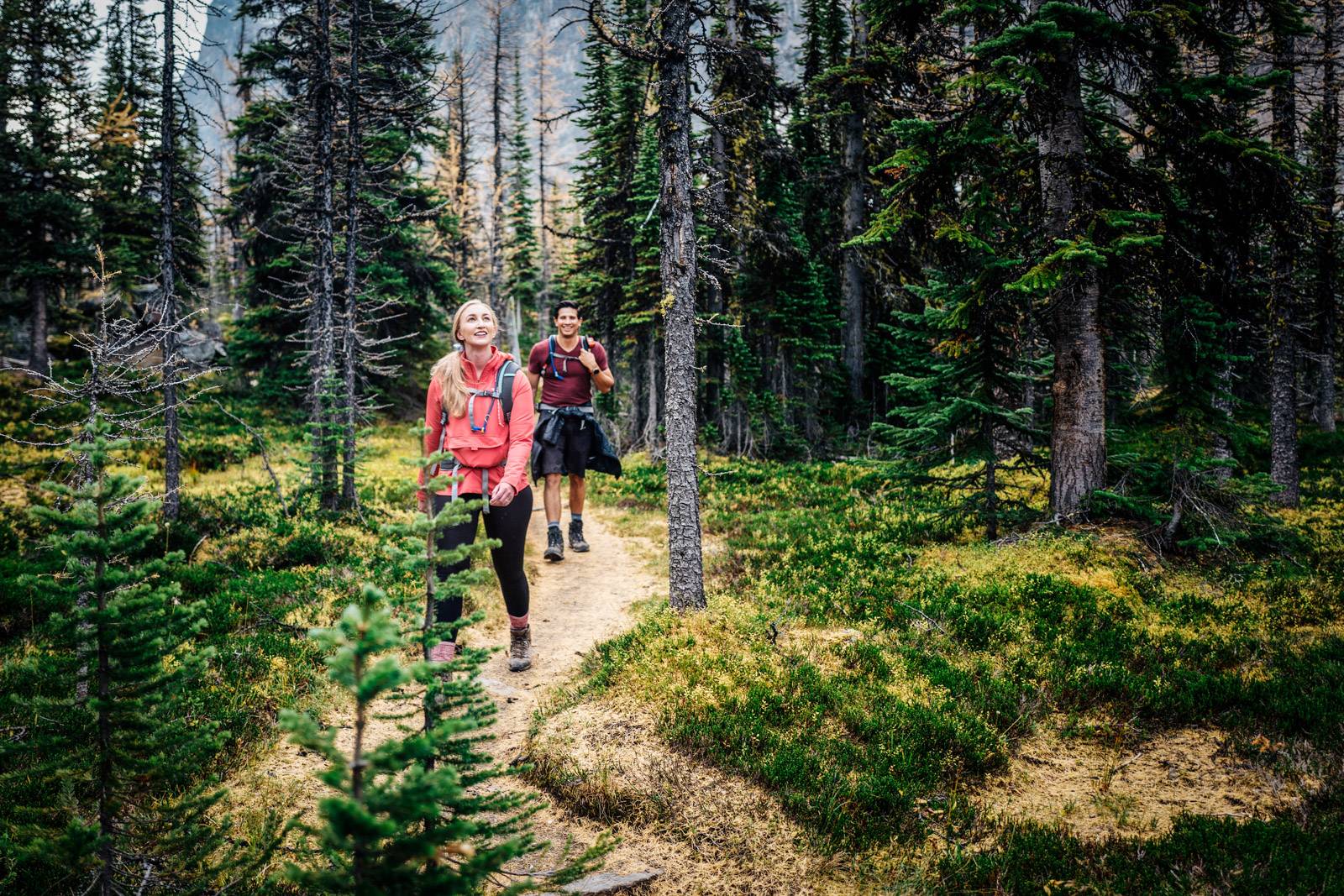 hiking in the forest