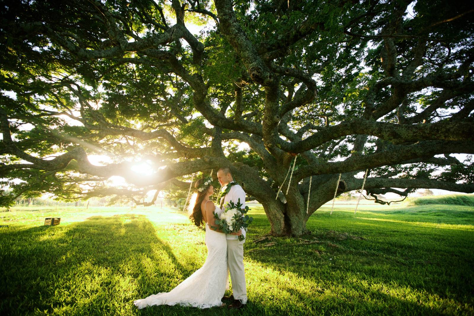 Outdoor Maui ceremony under huge tree