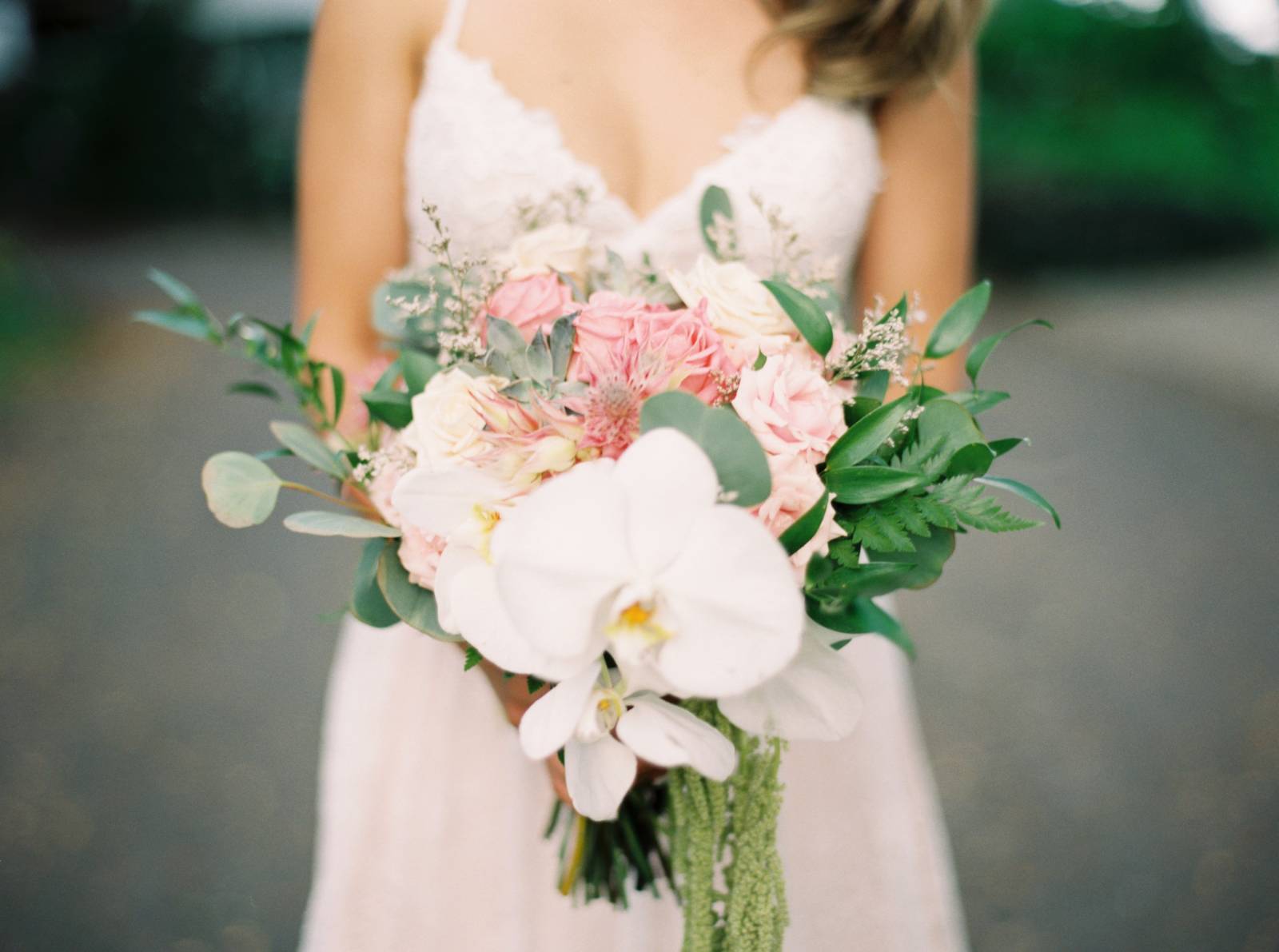 romantic blush and ivory color palette