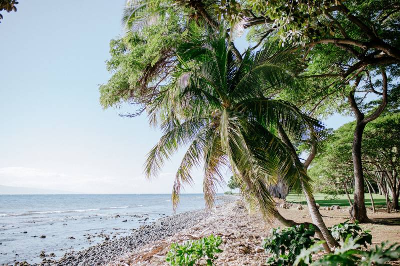 A Tropical Island Celebration