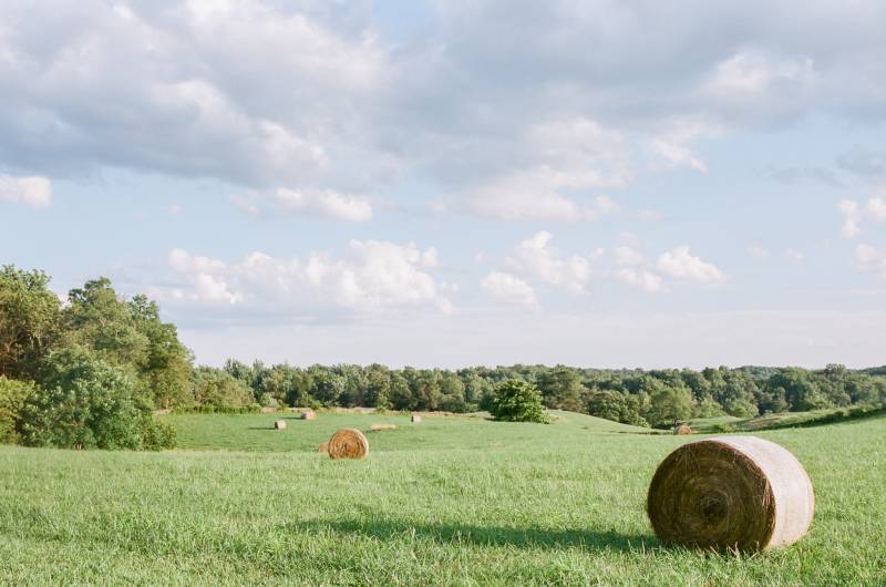 Blush and Ivory Outdoor Wedding