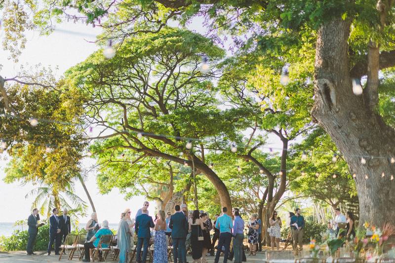 Fun + Festive Tropical Destination Wedding