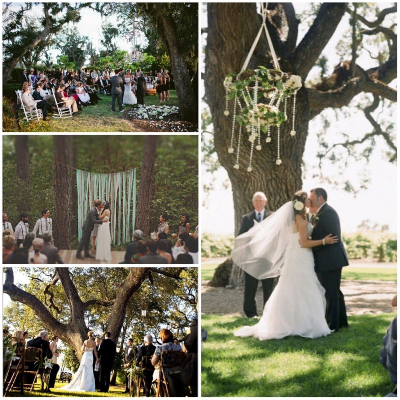 Lake Tahoe Wedding Inspiration | Marrying Under A Tree | Lake Tahoe