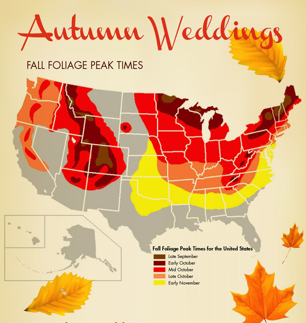 Where to Find Fall Foliage in Lake Tahoe | Lake Tahoe