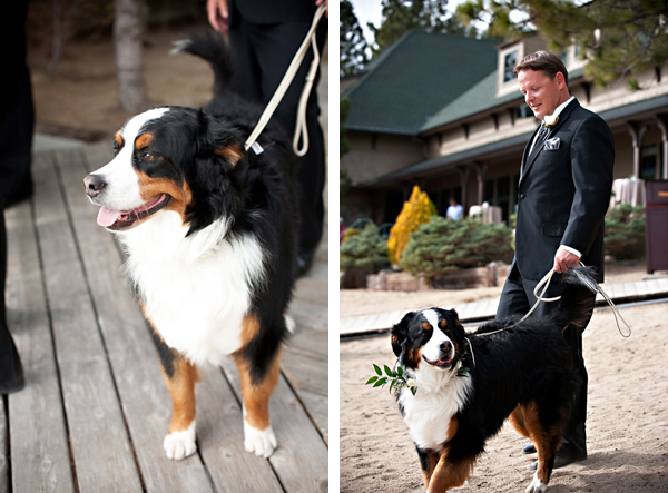 Lake Tahoe Wedding Gina Munda Photography