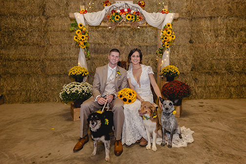 dog friendly wedding, dog wedding, pets at weddings